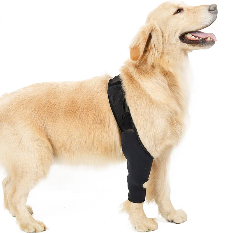 Pet Leg Injury Fixed Protective Gear Disabled Dog Leg Auxiliary Belt Small and Medium-sized Dog Postoperative Protective Cover