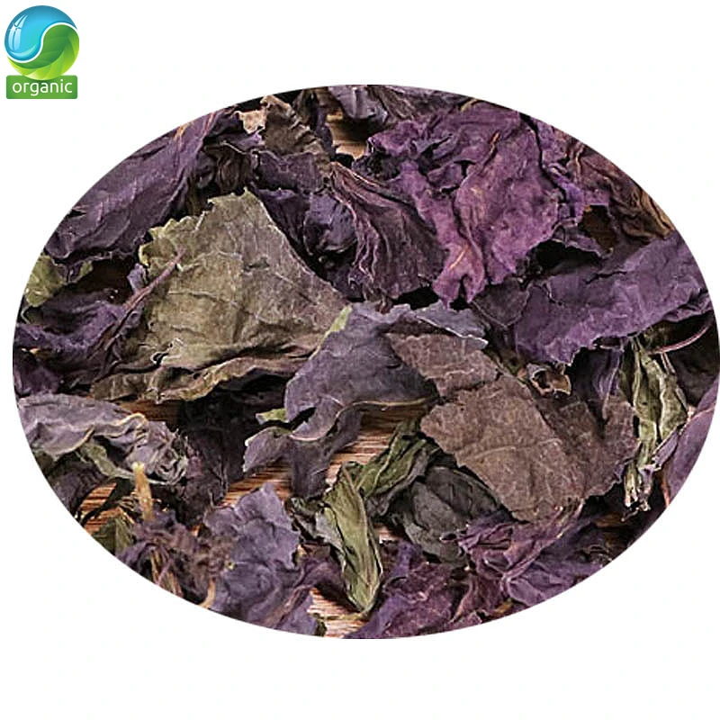 Dried Perilla,Shiso;Perilla Leaf;Basil;basil Leaves;Perilla Leaves,Folia Perillae Acutae Dry Herb Folium Perillae Zi Su Ye