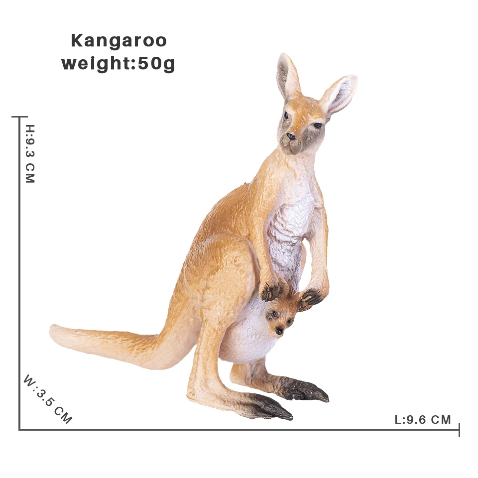 Kangaroo