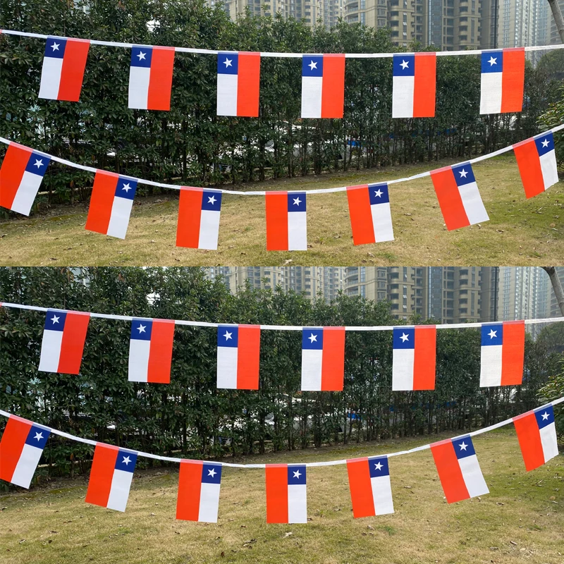 

Aerlxemrbrae 5.5M 20pcs/set14cmx21cm chile String Flag chile Hanging Mini Flag Window Flag