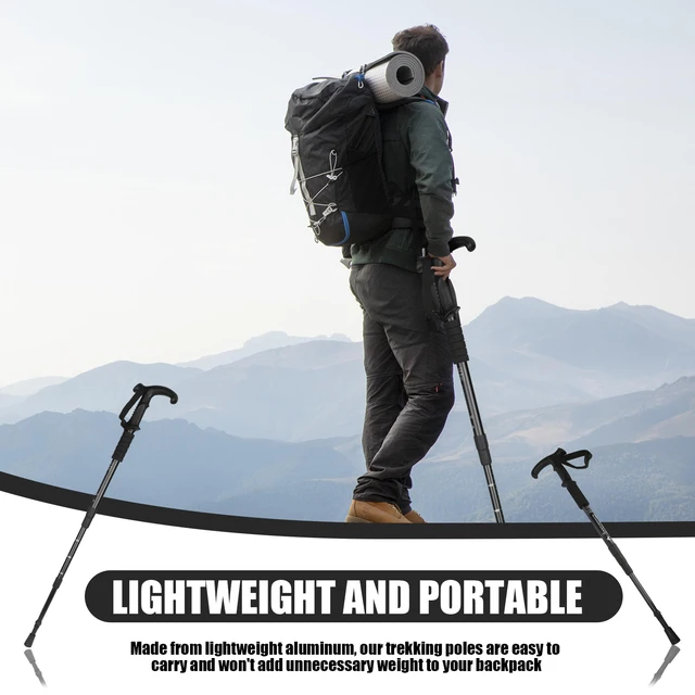 Scalable Trekking Pole 1