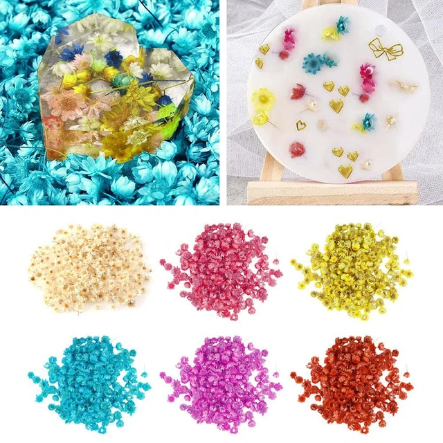 1g 140pcs Dry Flower head Dried Flowers for Resin Molds Fillings Epoxy  Resin Pendant Making Craft DIY Nail Art Decoration - AliExpress