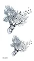 Image 23