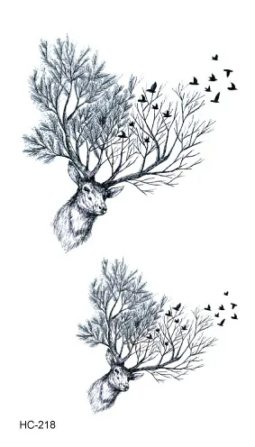 Image 23
