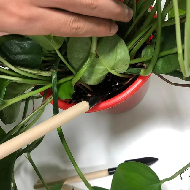 Mini Lapát Gereblye Készlet Fa Fogantyú Fémfejű Virágokhoz - Image 3