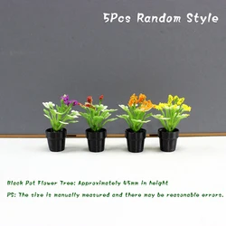 Set of 5 Miniature Dollhouse Fairy Garden Potted Plants - Desktop Home Ornament and Micro Scene Decoration (A3)