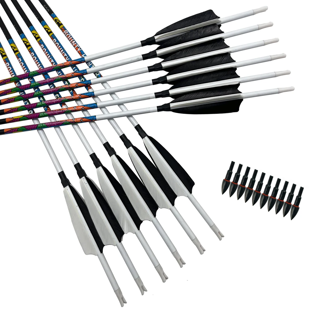 6 flèches carbone 30/32 pouces pointes interchangeables pour pêche à l'arc compound/récursif