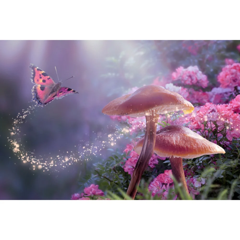 ȭ   Bokeh        Ƽ Ȩ   ν 