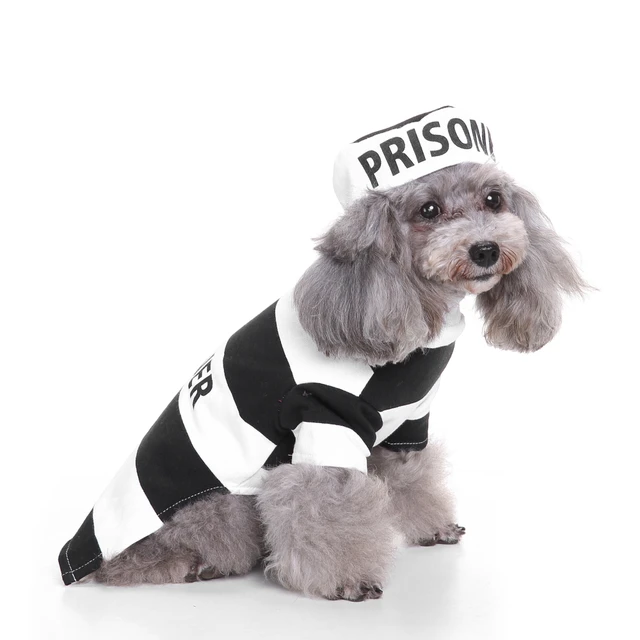 Prisoner suit