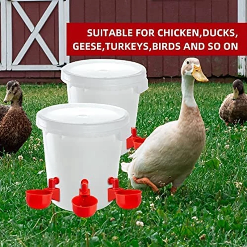 Chicken Water Cups, Automatic Chicken Waterer Kit For Poultry Filling Waterer Poultry Drinking Bowl For Chicken