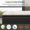 Queen Mattress, 12-Inch Deluxe Hybrid Mattresses, Fiberglass-Free Memory Foam Mattress in a Box, Individual Pocket Spring 4