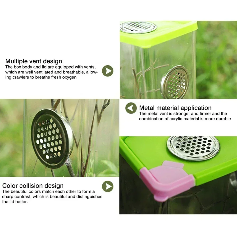 Transparent Acrylic Breeding Box 5