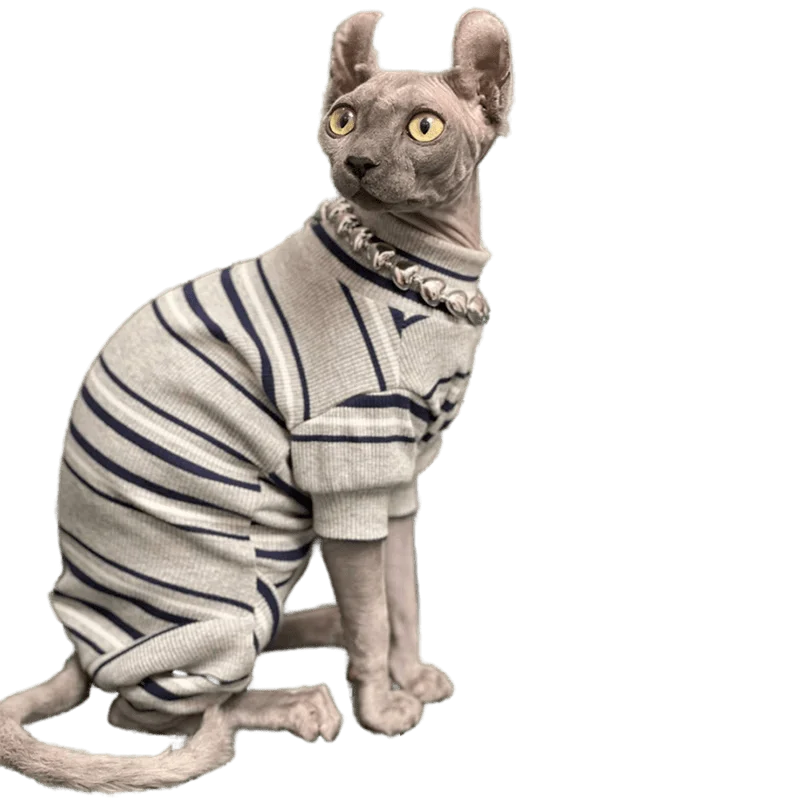 Sphinx Hairless Cat Four legged Clothes Spring Autumn Clothes Devon Rex