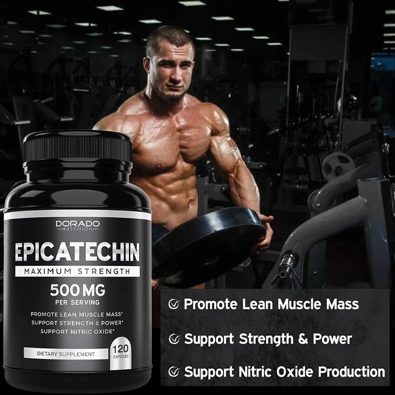Muscle Supplement Epicatechin Extract Supplement 500 Mg Supports Lean Muscle Nitric Oxide Carnosine Inhibitor Pump & Gain 120 Capsules