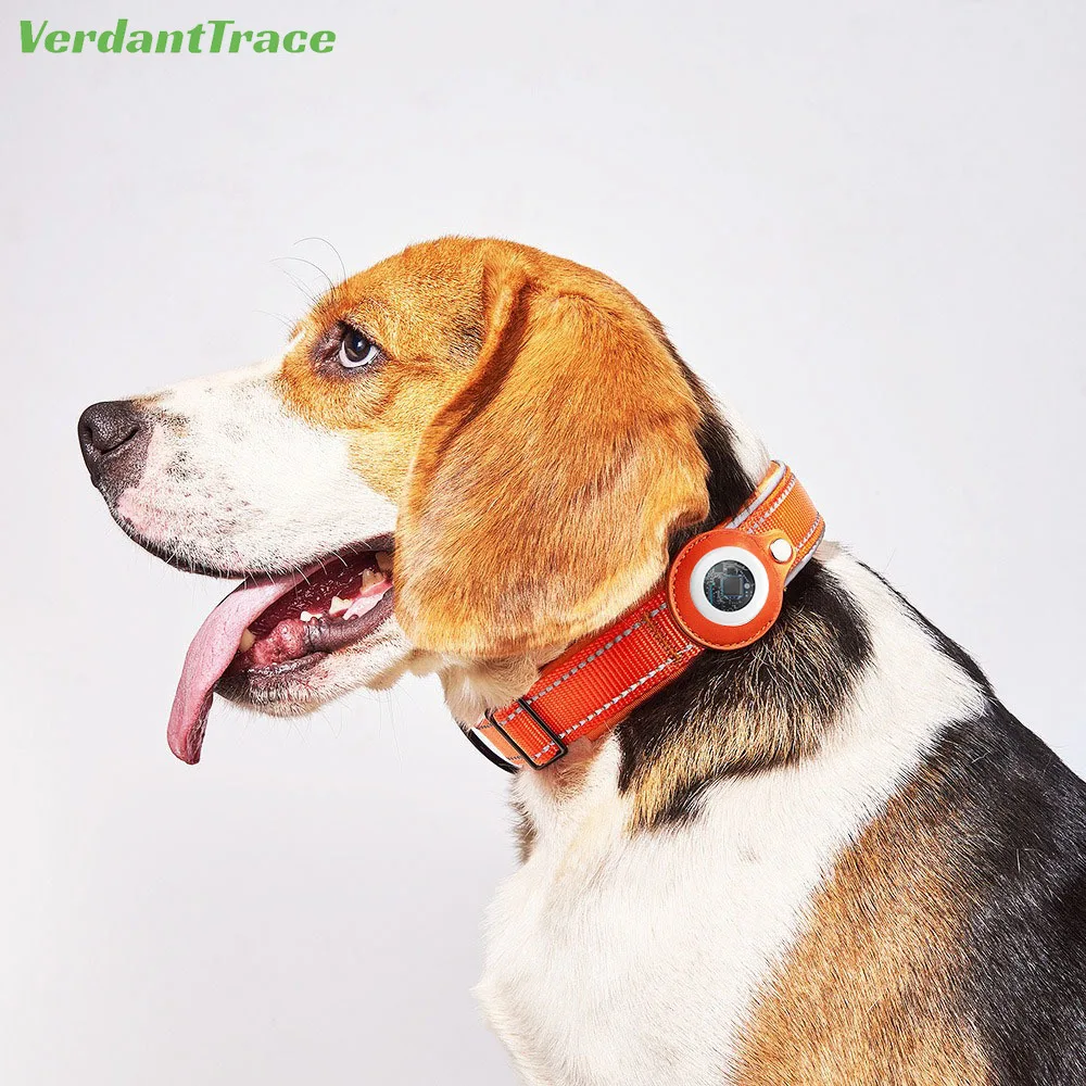 Mini Tracking Tag for IOS System Only with Apple Find My Anti-lost Device + Pet Dog Collar + Leash MFI Set Outdoor Waterproof