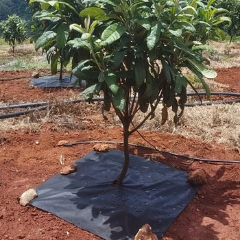 10 pieces of reusable tree weed control and moisturizing cover - non-woven biodegradable tree mat and grassland plastic film