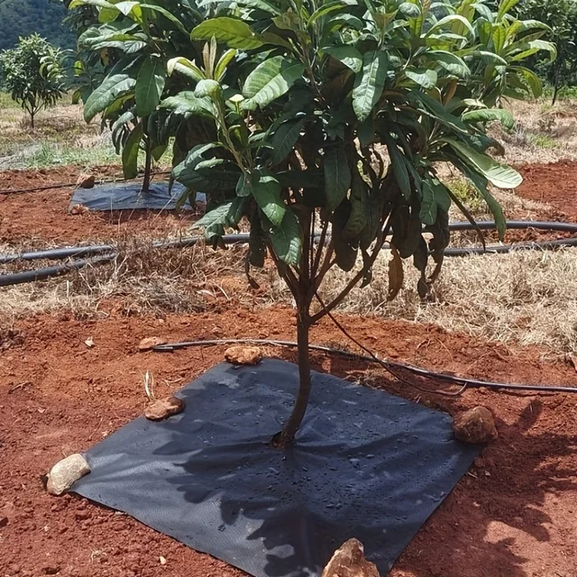 10 pieces of reusable tree weed control and moisturizing cover - non-woven biodegradable tree mat and grassland plastic film