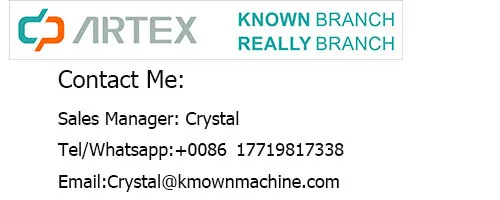 Рисунок 6 - 2022 королевская свадебная карета