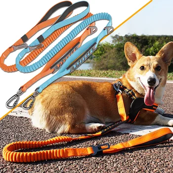 Nylon reflective multi-functional retractable Shock Absorbing retractable dog leash with car safety buckle Pet Traction Rope 1