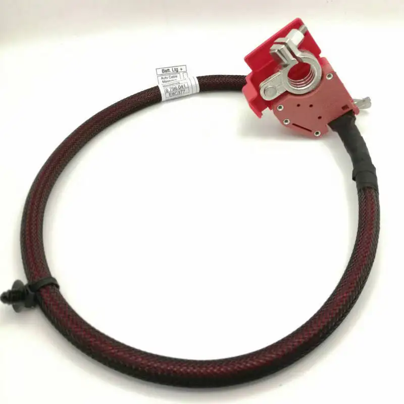 BF 61128795489 Positive Battery Fuse Cable 61128796040 Car 