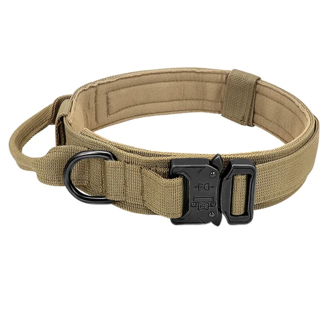 khaki-collar