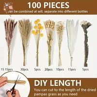 100Pcs Premium Dried Flowers Pampas Grass