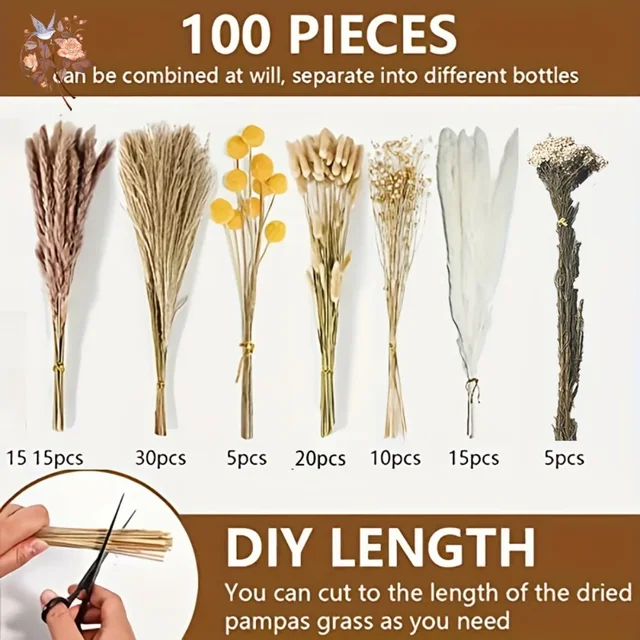 100Pcs Premium Dried Flowers Pampas Grass