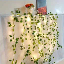 Vibrant Green Leaf Decorative String Lights - Battery Powered - 5M 50LED (Watermelon leaves)
