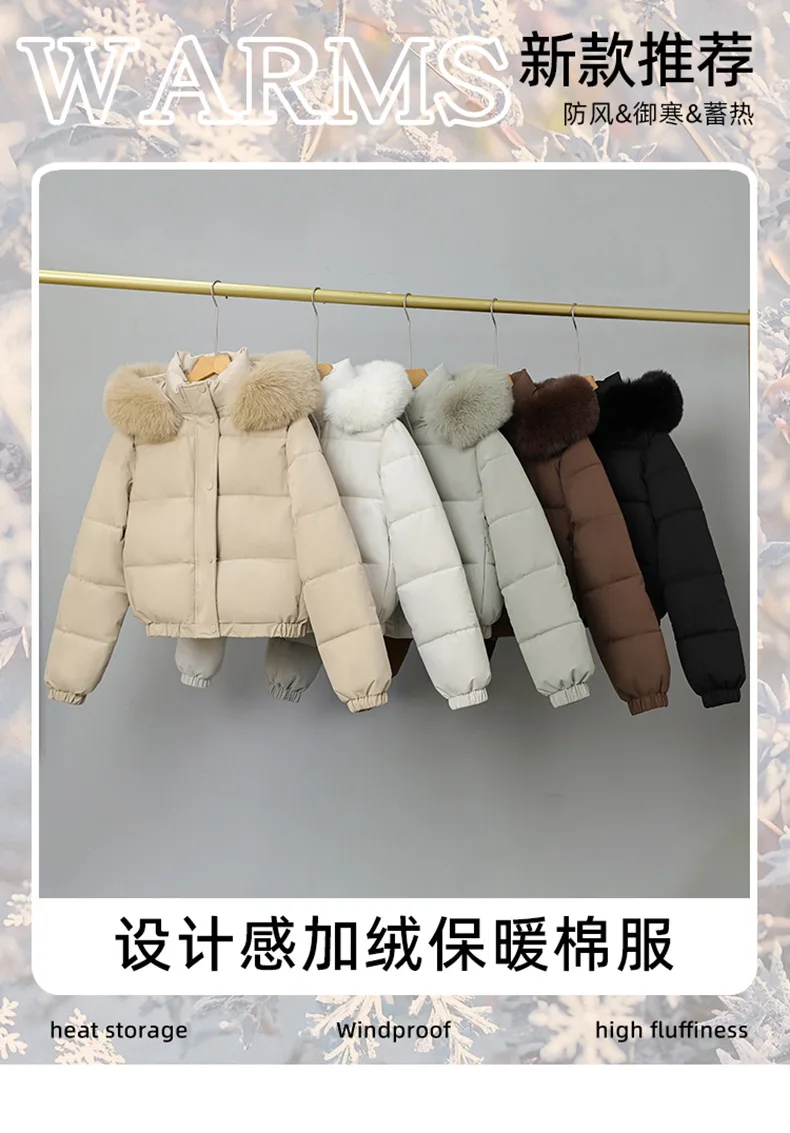 4760_01.jpg