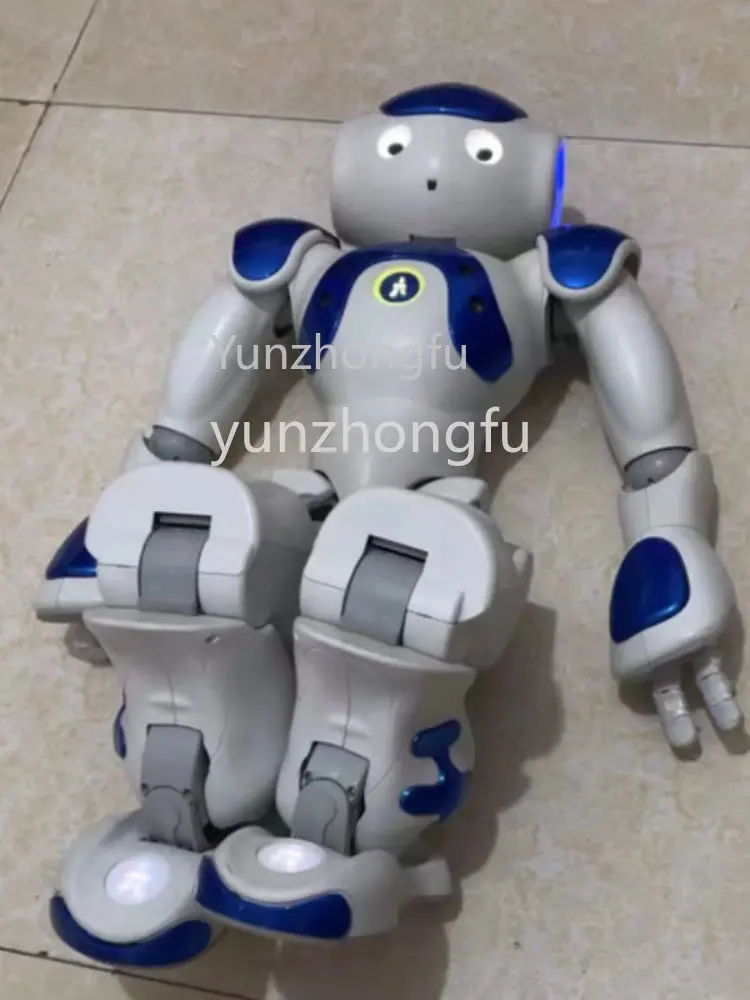 Programmable Humanoid Robot NAO V6