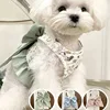 Dogs Harness Harnesses and Wears Necklaces Dog Collar Pet Collar Things for Cats Puppy Accessories Leash Set Collars Vests 1