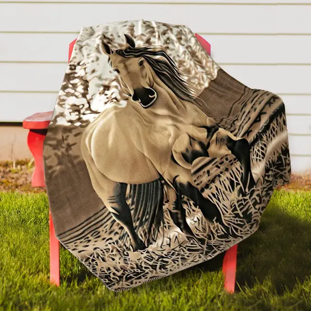 Horse Blankets 1