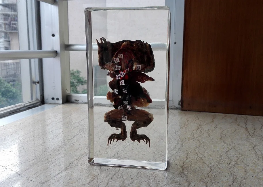 Frog Toad Transparent Resin Embedded Specimen Teaching Tools 2