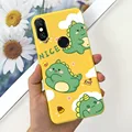 Case-c48