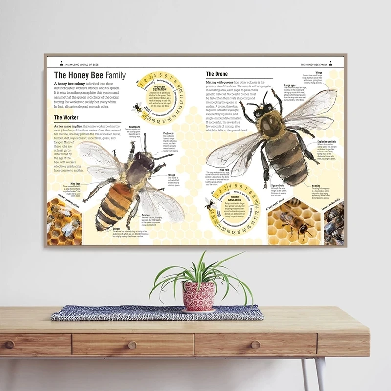 Beekeeper\'s Guide Print Natural Poster Insects Vintage French Honey Bee  Wall Art Canvas Painting Sepia Toned Bee Diagram Picture