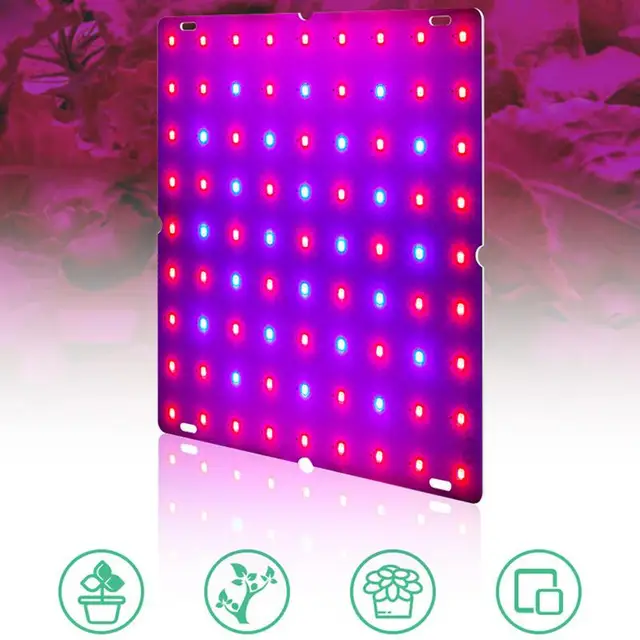 Növényi Led Grow Lights Teljes Spektrum A Beltéri Növények Számára Kvantumlemez Termesztési Lámpák Alacsony Energiafogyasztási Zöldségek - Image 6