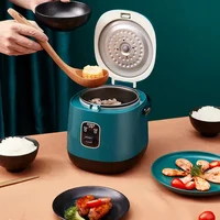 Multi-Function Rice Cooker 1.2L With Steamer, Chinese Food & Porridge Maker 1