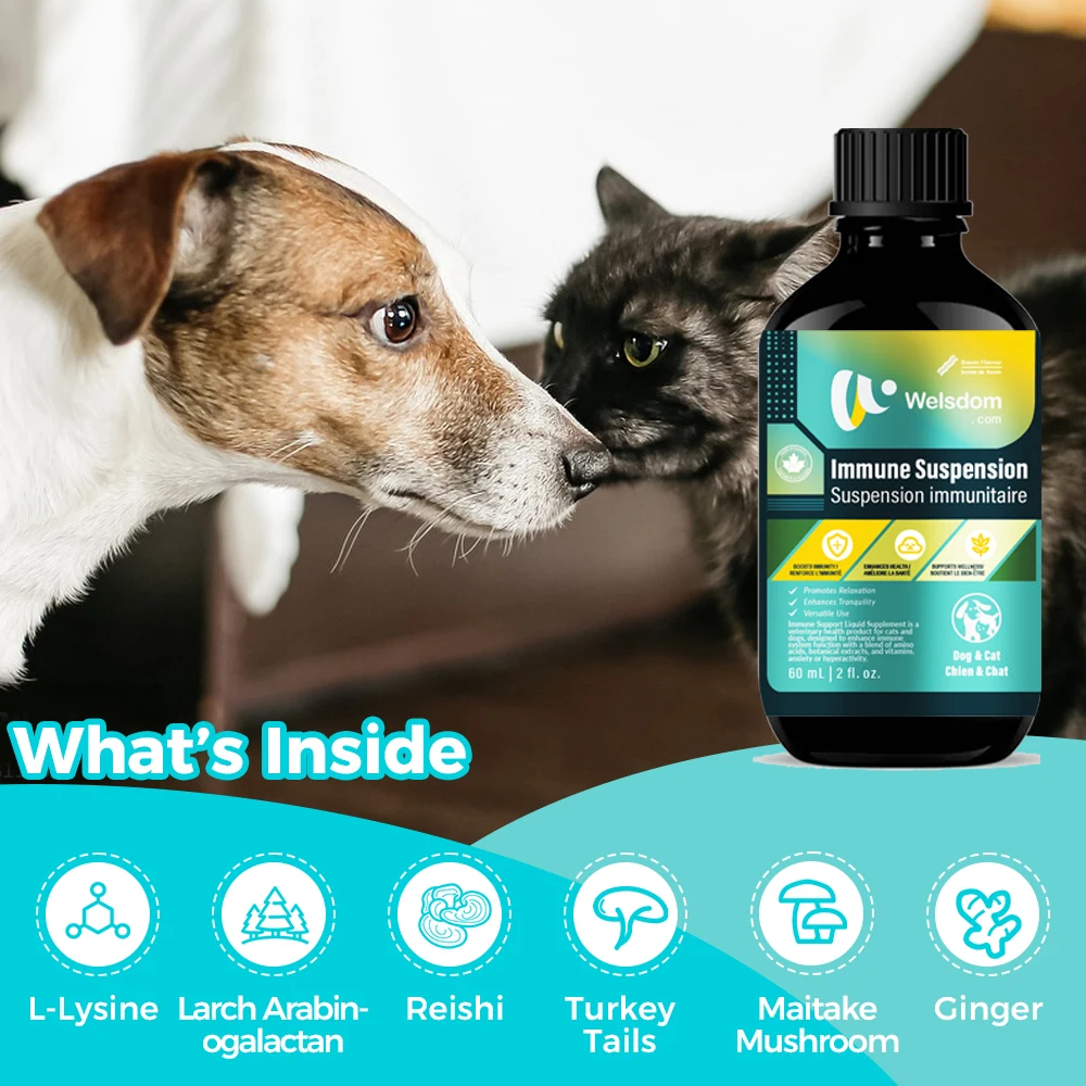 Immune Suspension for Dogs and Cats Natural Immune Support Liquid Boost Pet Health and Wellness