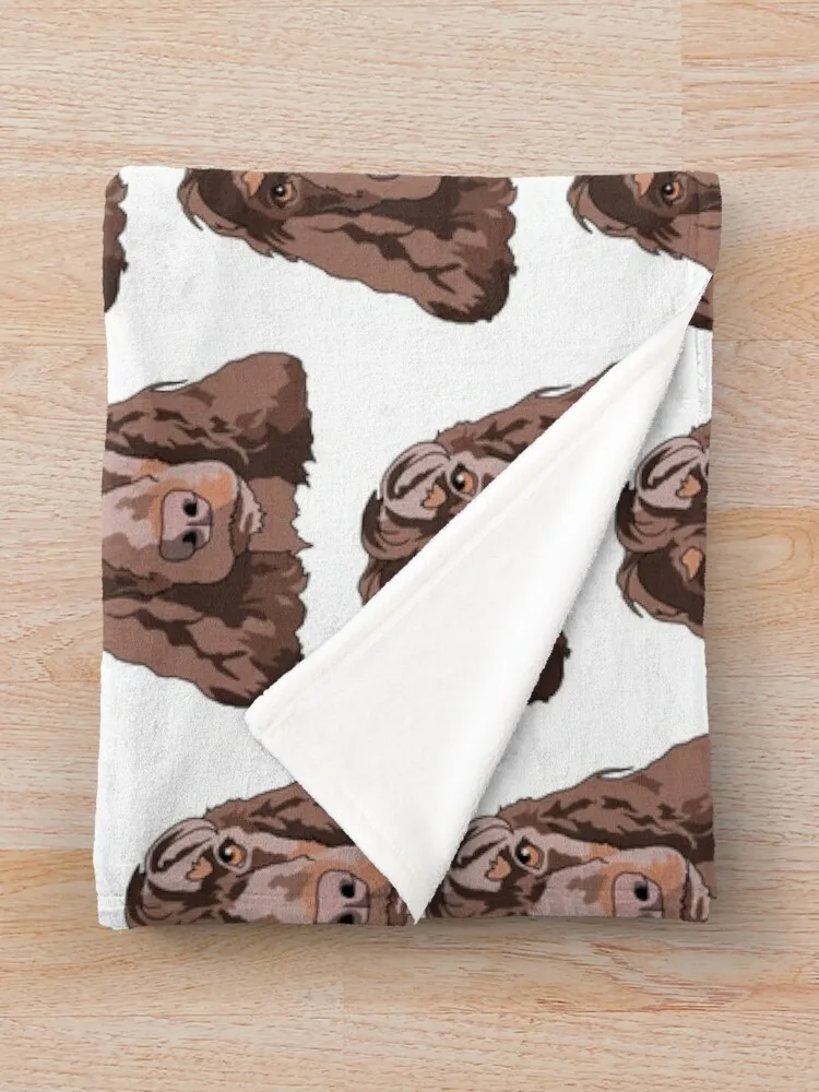 ���� ���дϾ� ������ ���, ������ �ʴ��� �� ���