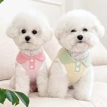 Summer Dog Puppy Shirt 3