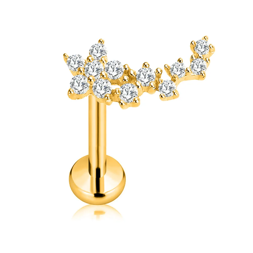 ASTM F136 G23 Titan Blütenblätter Blatt Herz Schmetterling Threadless Piercing Pin Push-in Labret Daith Conch Ohrring 16G 18G 20G – Detail 13