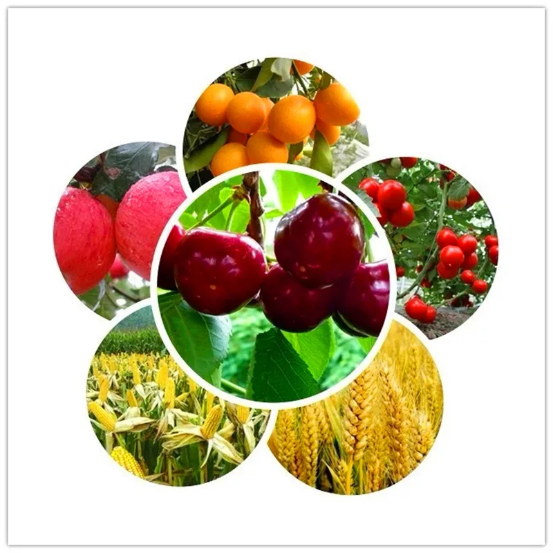 Urea 46% With Best Price Agriculture Urea 46% Nitrogen Fertilizer Prilled 250g Bag Market Price
