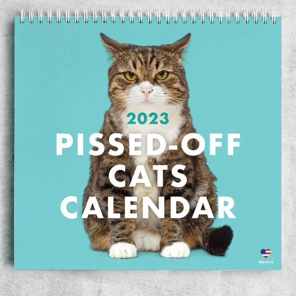 Funny Cat Calendar 2023 Calendar Creative Art Moon Calendar Time Planning  Office Calendar Art House Decor New Year's Gifts| | - AliExpress