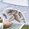 Three-layer Drying Net Anti-mosquito Drying Fish Net Strong and Durable Dry Goods Net Drying Salted Fish Artifact 2