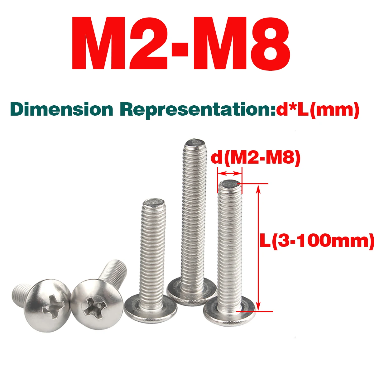

304 SS Large Flat Head, Half Round Head Screw / Phillips Screw M2-M8