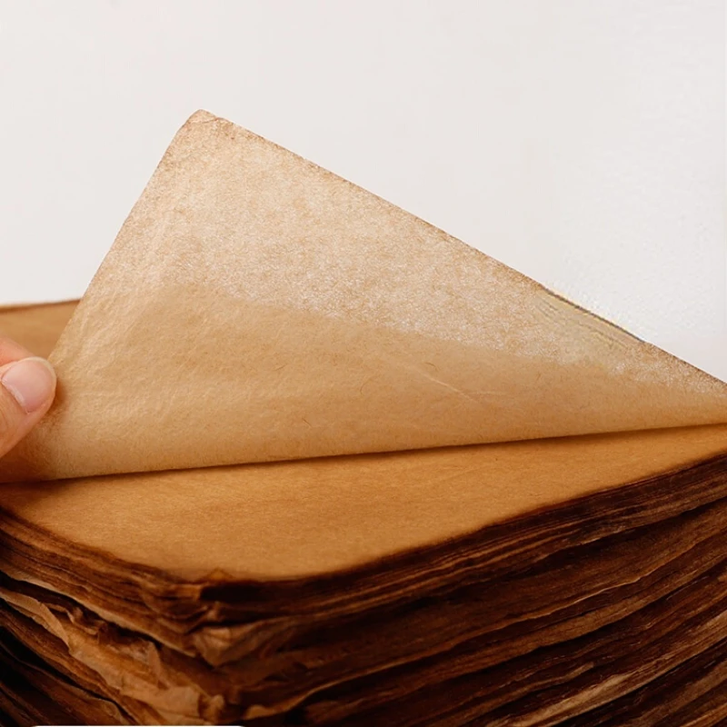 Ali Di Cicala Tinte A Mano Carta Di Riso In Esecuzione Script Corsivo Calligrafia Papier Paesaggio Super Sottile A Mano Libera Carta Xuan Mezza Matura