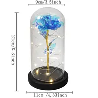 Valentines Day Gift for Girlfriend Eternal Rose LED Light Foil Flower In Glass Cover Mothers Day Wedding Favors Bridesmaid Gift - Image 6