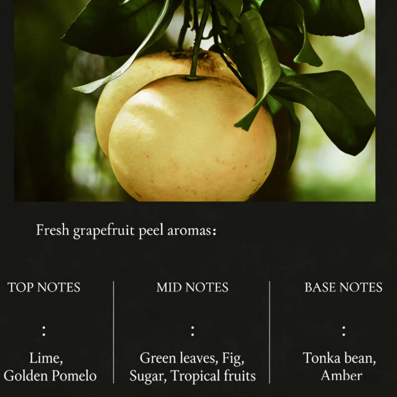 Romantisches Zitrus Feigen Und Grapefruit Eau De Toilette Damen_voghion.com