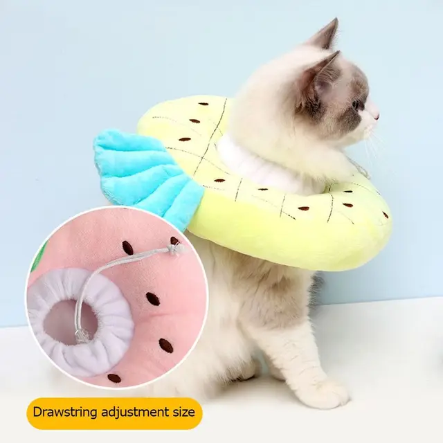 Elizabethan Pet Neck Donut E Collars Collar Cone Dog Cone Recovery After Surgery