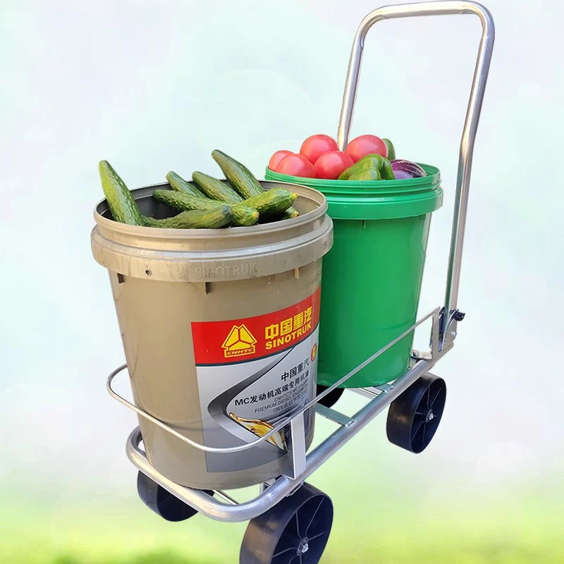 

Trolly Beach Garden Cart Food Hand Wagon Adult Trike Garden Cart Hoverboard Electric Carrinho De Transporte Garden Equipment